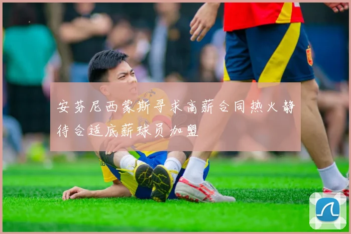 安芬尼西蒙斯寻求高薪合同热火静待合适底薪球员加盟